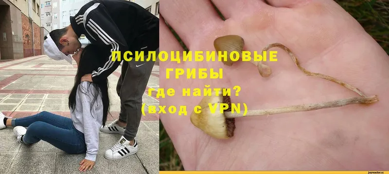 Псилоцибиновые грибы Magic Shrooms  дарнет шоп  Уссурийск 